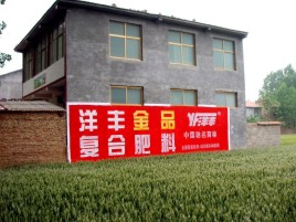 庐山市如何让墙体广告展现最大化效果