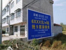庐山市墙体广告质量分析