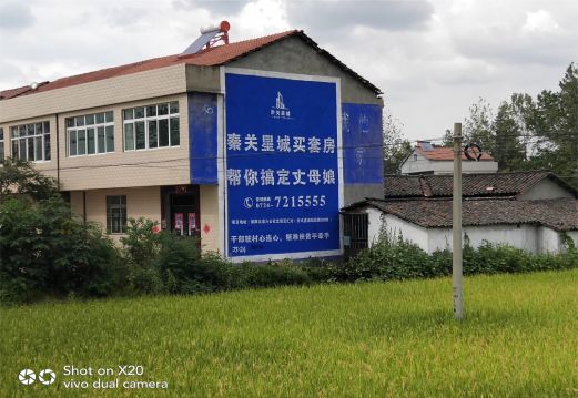 庐山市决定墙体广告价格的因素有哪些?